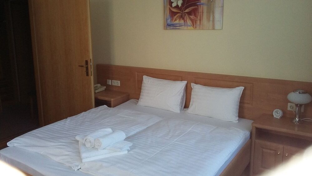 Hotel - Pension Vesta Бад Елстер Екстериор снимка